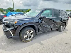 5FNYG2H59RB003147 2024 HONDA PILOT