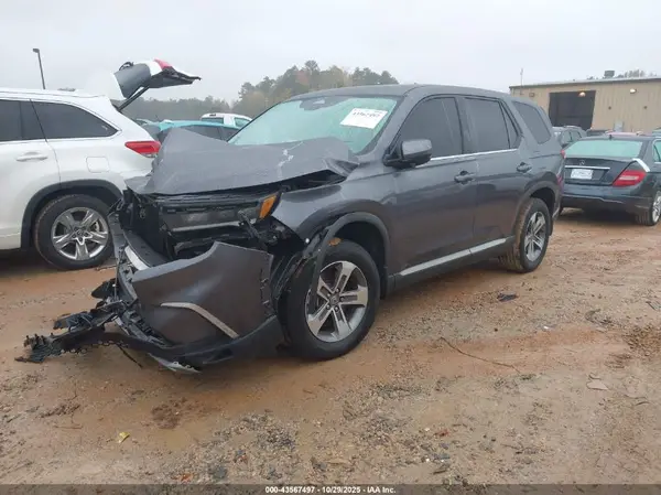 5FNYG2H59RB006226 2024 HONDA PILOT - Image 2