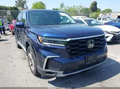 5FNYG2H59RB012253 2024 HONDA PILOT