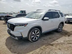 5FNYG2H71RB015116 2024 HONDA PILOT