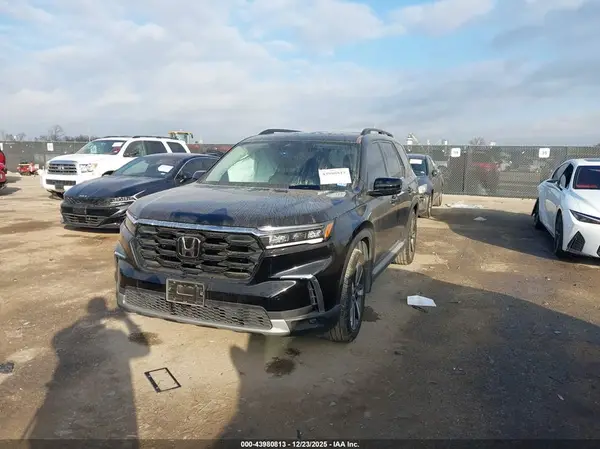 5FNYG2H72RB013343 2024 HONDA PILOT - Image 2