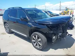 5FNYG2H76RB004063 2024 HONDA PILOT