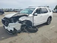 5FNYG2H7XRB010965 2024 HONDA PILOT