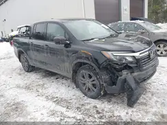 5FPYK3F11KB037486 2019 HONDA RIDGELINE