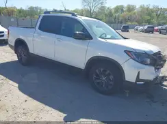 5FPYK3F11RB005065 2024 HONDA RIDGELINE