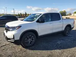 5FPYK3F12RB010095 2024 HONDA RIDGELINE