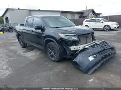 5FPYK3F15KB501556 2019 HONDA RIDGELINE