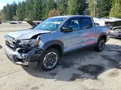 5FPYK3F28RB024494 2024 HONDA RIDGELINE