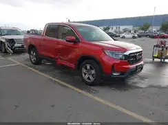5FPYK3F51RB006834 2024 HONDA RIDGELINE