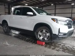 5FPYK3F52RB003814 2024 HONDA RIDGELINE