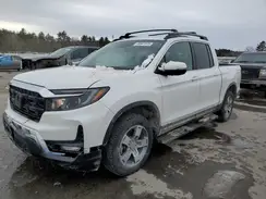 5FPYK3F53RB014823 2024 HONDA RIDGELINE