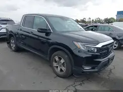 5FPYK3F56RB004027 2024 HONDA RIDGELINE