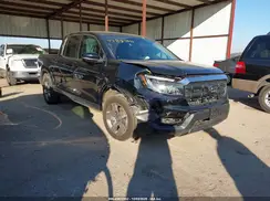 5FPYK3F56RB028781 2024 HONDA RIDGELINE