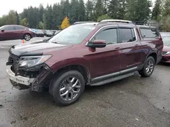 5FPYK3F58KB049556 2019 HONDA RIDGELINE