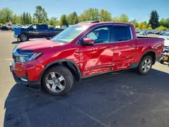 5FPYK3F59RB005527 2024 HONDA RIDGELINE