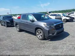 5FPYK3F59RB012221 2024 HONDA RIDGELINE