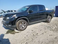 5FPYK3F61RB026560 2024 HONDA RIDGELINE