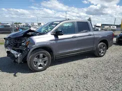 5FPYK3F61RB030107 2024 HONDA RIDGELINE