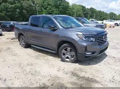 5FPYK3F62RB010318 2024 HONDA RIDGELINE