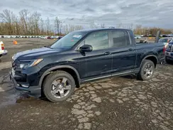 5FPYK3F65RB026559 2024 HONDA RIDGELINE