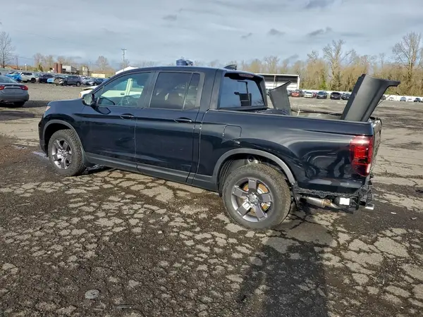 5FPYK3F65RB026559 2024 HONDA RIDGELINE - Image 2
