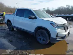 5FPYK3F80PB055207 2023 HONDA RIDGELINE