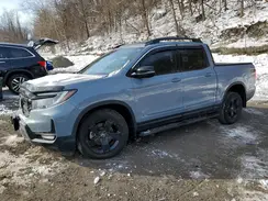 5FPYK3F80RB001229 2024 HONDA RIDGELINE