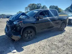 5FPYK3F80RB026499 2024 HONDA RIDGELINE