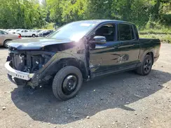 5FPYK3F81RB007704 2024 HONDA RIDGELINE