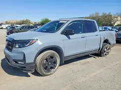 5FPYK3F81RB012899 2024 HONDA RIDGELINE