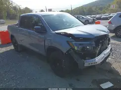 5FPYK3F81RB021280 2024 HONDA RIDGELINE