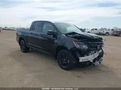 5FPYK3F81RB501710 2024 HONDA RIDGELINE