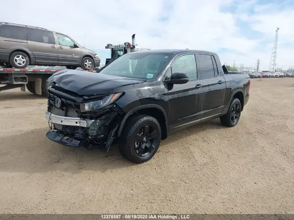 5FPYK3F81RB501710 2024 HONDA RIDGELINE - Image 2