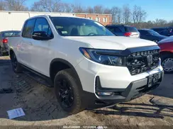 5FPYK3F83RB000219 2024 HONDA RIDGELINE