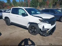5FPYK3F84RB009091 2024 HONDA RIDGELINE