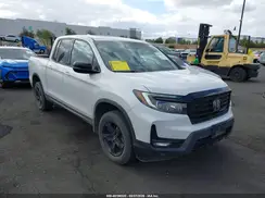 5FPYK3F85PB009565 2023 HONDA RIDGELINE