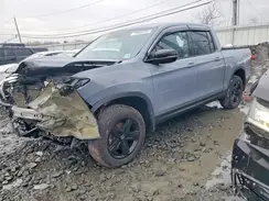 5FPYK3F87PB014525 2023 HONDA RIDGELINE