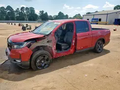 5FPYK3F87RB014589 2024 HONDA RIDGELINE
