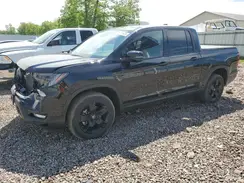 5FPYK3F8XRB028731 2024 HONDA RIDGELINE