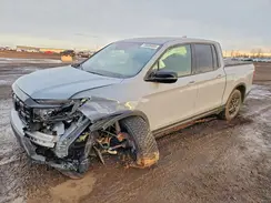 5FPYK3F8XSB502442 2025 HONDA RIDGELINE