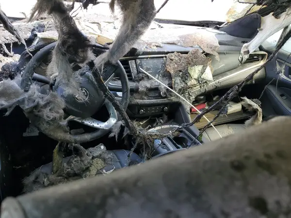 5GAEVCKW5PJ167745 2023 BUICK ENCLAVE - Image 8