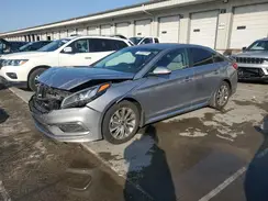 5MPE34AF9GH428069 2016 HYUNDAI SONATA