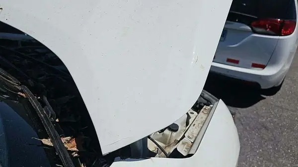 5N1AT2MV4JC791206 2018 NISSAN ROGUE - Image 8