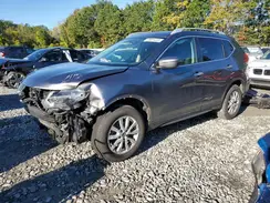 5N1AT2MV7HC845981 2017 NISSAN ROGUE