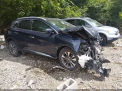 5N1AZ2MG2GN108528 2016 NISSAN MURANO