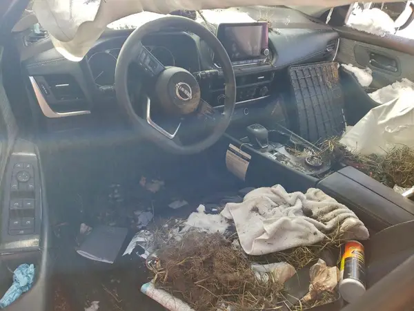 5N1BT3AB6PC690200 2023 NISSAN ROGUE - Image 8