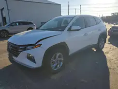 5NMJA3AE0PH253133 2023 HYUNDAI TUCSON