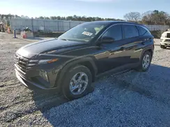 5NMJA3DE0RH341503 2024 HYUNDAI TUCSON