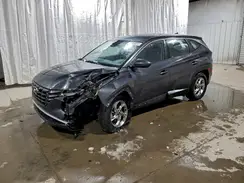 5NMJA3DE1RH302371 2024 HYUNDAI TUCSON