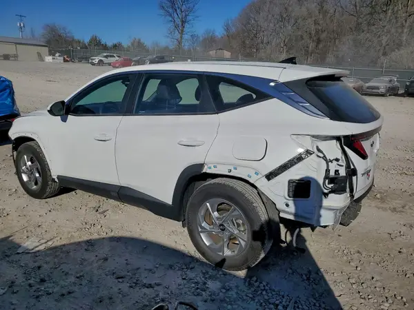 5NMJA3DE2RH435009 2024 HYUNDAI TUCSON - Image 2